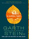 Cover image for A Sudden Light